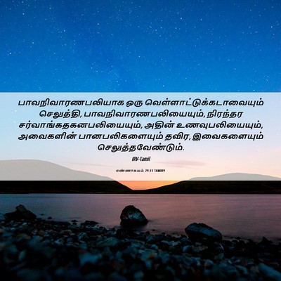 Picture 06 - எண்ணாகமம் 29:11 TAMIRV - பாவநிவாரணபலியாக - Bible Verse Picture