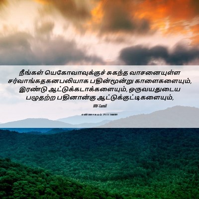 Picture 06 - எண்ணாகமம் 29:13 TAMIRV - நீங்கள் - Bible Verse Picture