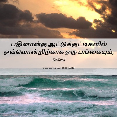 Picture 06 - எண்ணாகமம் 29:15 TAMIRV - பதினான்கு - Bible Verse Picture