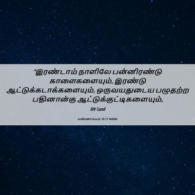 Picture 06 - எண்ணாகமம் 29:17 TAMIRV - “இரண்டாம் நாளிலே - Bible Verse Picture