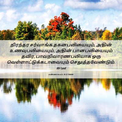 Picture 06 - எண்ணாகமம் 29:22 TAMIRV - நிரந்தர சர்வாங்க - Bible Verse Picture