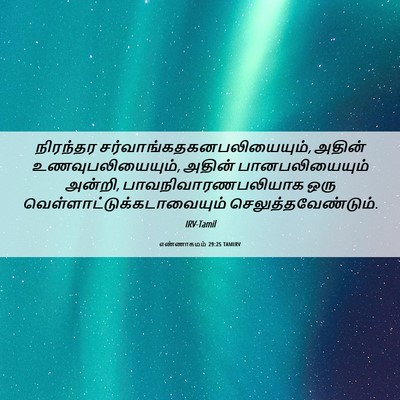 Picture 06 - எண்ணாகமம் 29:25 TAMIRV - நிரந்தர - Bible Verse Picture