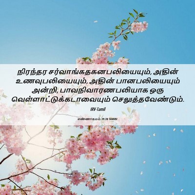 Picture 06 - எண்ணாகமம் 29:28 TAMIRV - நிரந்தர - Bible Verse Picture