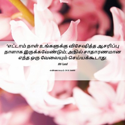 Picture 06 - எண்ணாகமம் 29:35 TAMIRV - “எட்டாம் நாள் - Bible Verse Picture