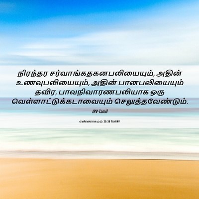 Picture 06 - எண்ணாகமம் 29:38 TAMIRV - நிரந்தர - Bible Verse Picture