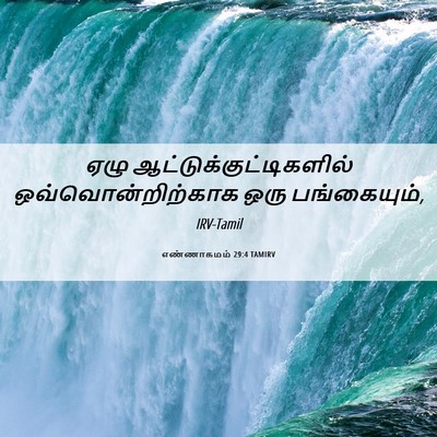 Picture 06 - எண்ணாகமம் 29:4 TAMIRV - ஏழு - Bible Verse Picture