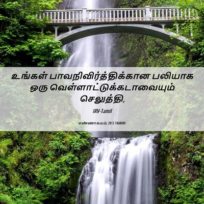 Picture 06 - எண்ணாகமம் 29:5 TAMIRV - உங்கள் - Bible Verse Picture