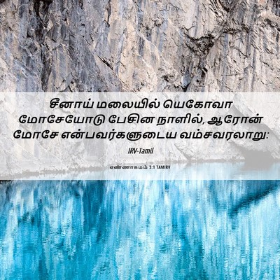Picture 06 - எண்ணாகமம் 3:1 TAMIRV - சீனாய் மலையில் - Bible Verse Picture