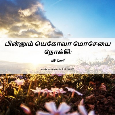 Picture 06 - எண்ணாகமம் 3:11 TAMIRV - பின்னும் யெகோவா - Bible Verse Picture