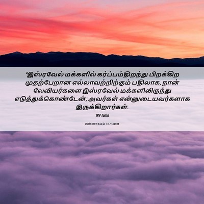 Picture 06 - எண்ணாகமம் 3:12 TAMIRV - “இஸ்ரவேல் - Bible Verse Picture