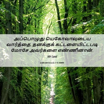 Picture 06 - எண்ணாகமம் 3:16 TAMIRV - அப்பொழுது - Bible Verse Picture