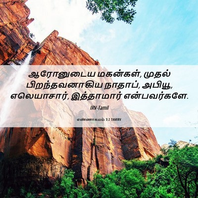 Picture 06 - எண்ணாகமம் 3:2 TAMIRV - ஆரோனுடைய மகன்கள், - Bible Verse Picture
