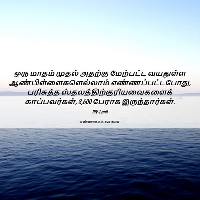 Picture 06 - எண்ணாகமம் 3:28 TAMIRV - ஒரு மாதம் முதல் - Bible Verse Picture
