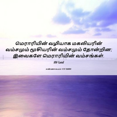 Picture 06 - எண்ணாகமம் 3:33 TAMIRV - மெராரியின் வழியாக - Bible Verse Picture