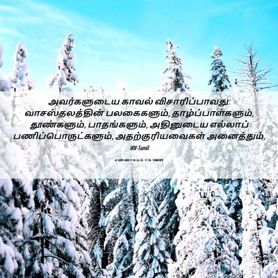 Picture 06 - எண்ணாகமம் 3:36 TAMIRV - அவர்களுடைய காவல் - Bible Verse Picture