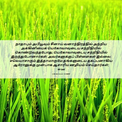 Picture 06 - எண்ணாகமம் 3:4 TAMIRV - நாதாபும் - Bible Verse Picture