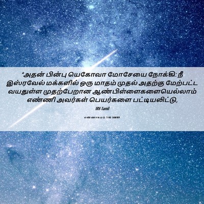 Picture 06 - எண்ணாகமம் 3:40 TAMIRV - “அதன் பின்பு - Bible Verse Picture
