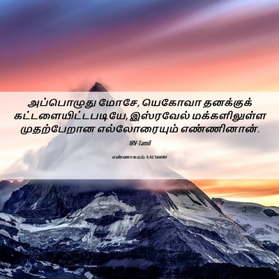 Picture 06 - எண்ணாகமம் 3:42 TAMIRV - அப்பொழுது மோசே, - Bible Verse Picture