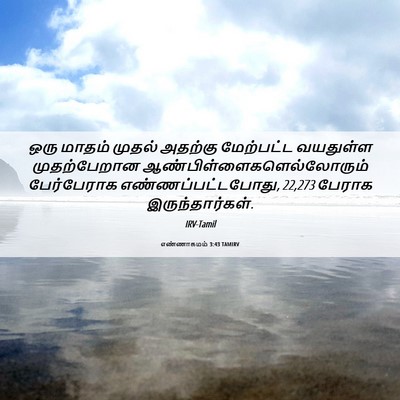 Picture 06 - எண்ணாகமம் 3:43 TAMIRV - ஒரு மாதம் முதல் - Bible Verse Picture