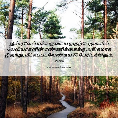Picture 06 - எண்ணாகமம் 3:46 TAMIRV - இஸ்ரவேல் - Bible Verse Picture