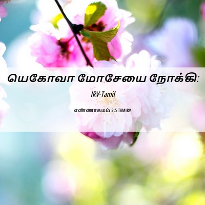Picture 06 - எண்ணாகமம் 3:5 TAMIRV - யெகோவா மோசேயை - Bible Verse Picture