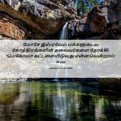 Picture 06 - எண்ணாகமம் 30:1 TAMIRV - மோசே இஸ்ரவேல் - Bible Verse Picture