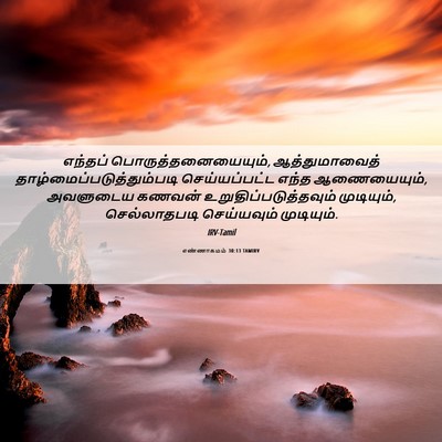 Picture 06 - எண்ணாகமம் 30:13 TAMIRV - எந்தப் - Bible Verse Picture