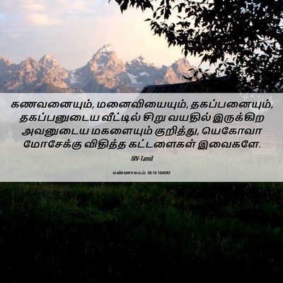 Picture 06 - எண்ணாகமம் 30:16 TAMIRV - கணவனையும், - Bible Verse Picture
