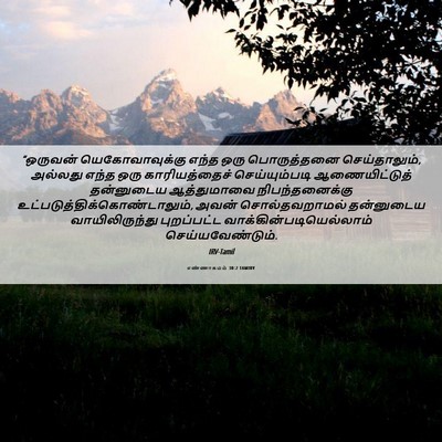 Picture 06 - எண்ணாகமம் 30:2 TAMIRV - “ஒருவன் - Bible Verse Picture