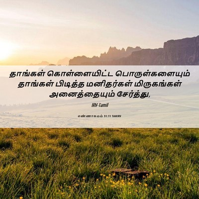 Picture 06 - எண்ணாகமம் 31:11 TAMIRV - தாங்கள் - Bible Verse Picture