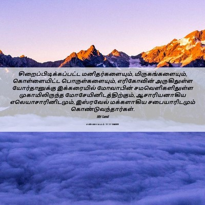 Picture 06 - எண்ணாகமம் 31:12 TAMIRV -  - Bible Verse Picture