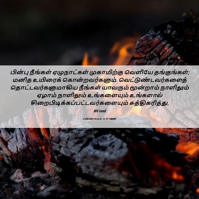 Picture 06 - எண்ணாகமம் 31:19 TAMIRV - பின்பு நீங்கள் - Bible Verse Picture
