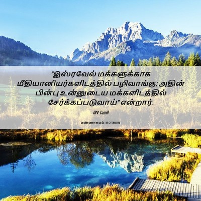 Picture 06 - எண்ணாகமம் 31:2 TAMIRV - “இஸ்ரவேல் - Bible Verse Picture