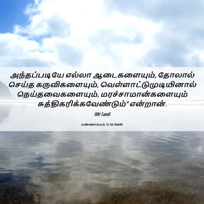 Picture 06 - எண்ணாகமம் 31:20 TAMIRV - அந்தப்படியே எல்லா - Bible Verse Picture