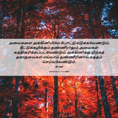 Picture 06 - எண்ணாகமம் 31:23 TAMIRV - அவைகளை - Bible Verse Picture