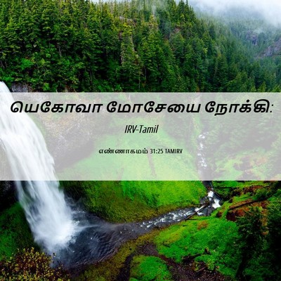 Picture 06 - எண்ணாகமம் 31:25 TAMIRV - யெகோவா மோசேயை - Bible Verse Picture