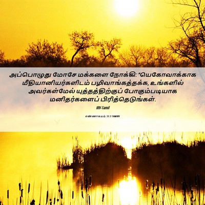 Picture 06 - எண்ணாகமம் 31:3 TAMIRV - அப்பொழுது மோசே - Bible Verse Picture