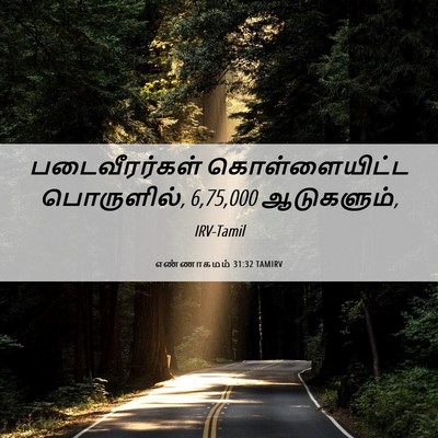 Picture 06 - எண்ணாகமம் 31:32 TAMIRV - படைவீரர்கள் - Bible Verse Picture