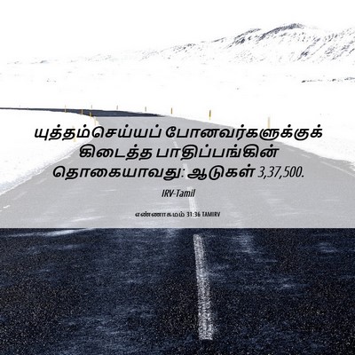 Picture 06 - எண்ணாகமம் 31:36 TAMIRV - யுத்தம்செய்யப் - Bible Verse Picture