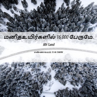 Picture 06 - எண்ணாகமம் 31:46 TAMIRV - மனிதஉயிர்களில் 16,000 - Bible Verse Picture