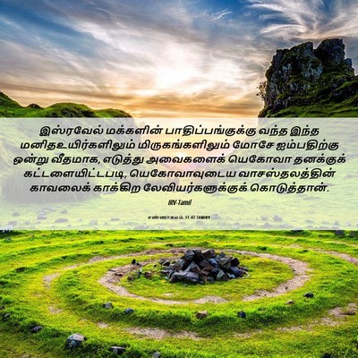 Picture 06 - எண்ணாகமம் 31:47 TAMIRV - இஸ்ரவேல் மக்களின் - Bible Verse Picture