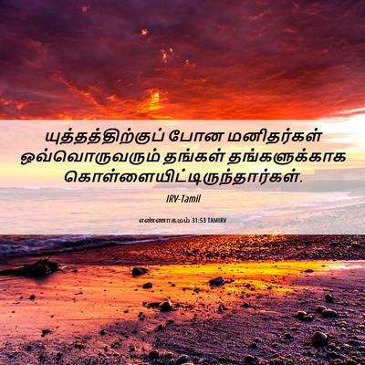 Picture 06 - எண்ணாகமம் 31:53 TAMIRV - யுத்தத்திற்குப் - Bible Verse Picture