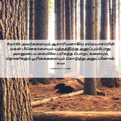 Picture 06 - எண்ணாகமம் 31:6 TAMIRV - மோசே அவர்களையும் - Bible Verse Picture