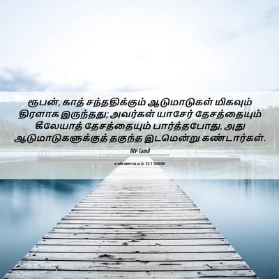 Picture 06 - எண்ணாகமம் 32:1 TAMIRV - ரூபன், காத் - Bible Verse Picture