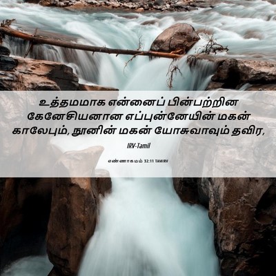Picture 06 - எண்ணாகமம் 32:11 TAMIRV - உத்தமமாக என்னைப் - Bible Verse Picture