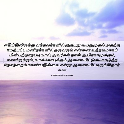 Picture 06 - எண்ணாகமம் 32:12 TAMIRV - எகிப்திலிருந்து - Bible Verse Picture