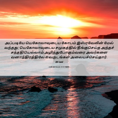 Picture 06 - எண்ணாகமம் 32:13 TAMIRV - அப்படியே - Bible Verse Picture