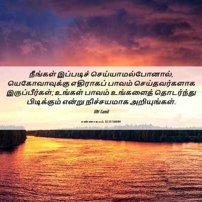 Picture 06 - எண்ணாகமம் 32:23 TAMIRV - நீங்கள் இப்படிச் - Bible Verse Picture