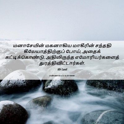 Picture 06 - எண்ணாகமம் 32:39 TAMIRV - மனாசேயின் மகனாகிய - Bible Verse Picture