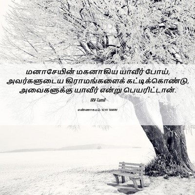 Picture 06 - எண்ணாகமம் 32:41 TAMIRV - மனாசேயின் மகனாகிய - Bible Verse Picture